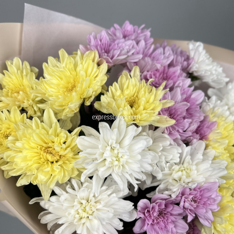 Букет из 7 разноцветных хризантем