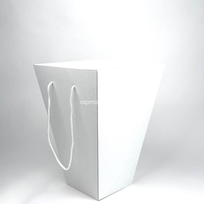 Переноска большая