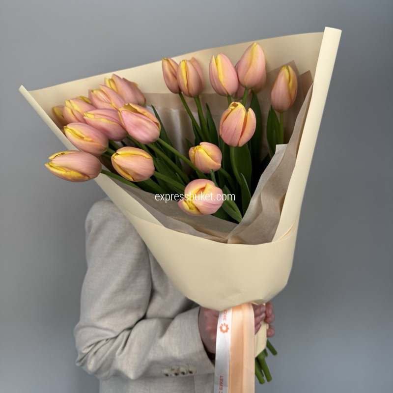 Тюльпаномания