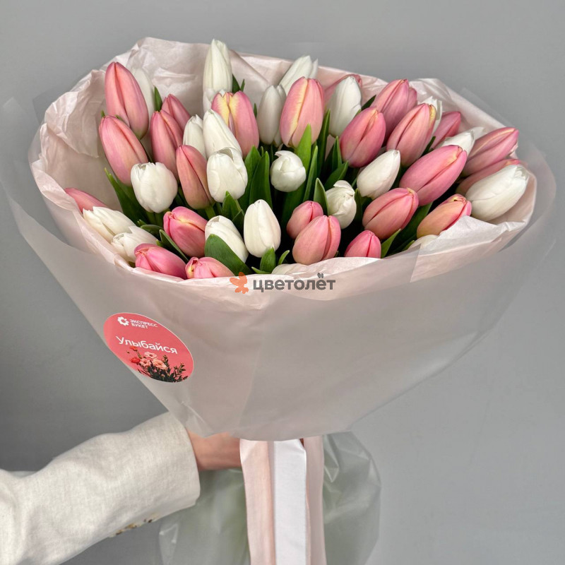 Тюльпаны бело-розовые 51 штука