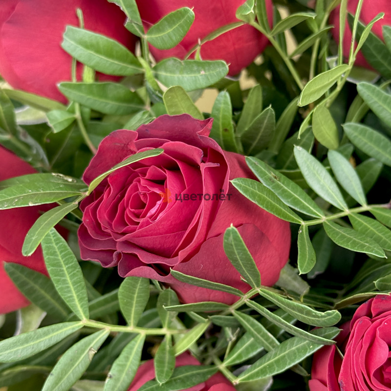 Букет из 11 красных роз с зеленью