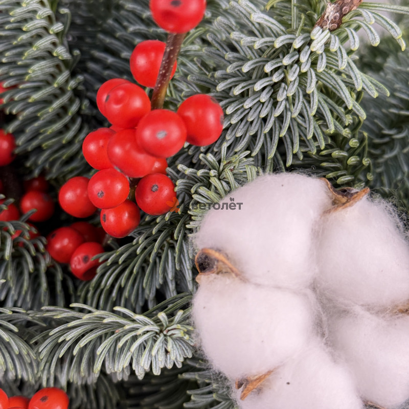 Зимнее чудо